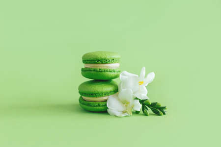 Tasty french macarons with white flowers on a green pastel background. Place for text.