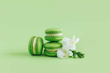 Tasty french macarons with white flowers on a green pastel background. Place for text.の写真素材