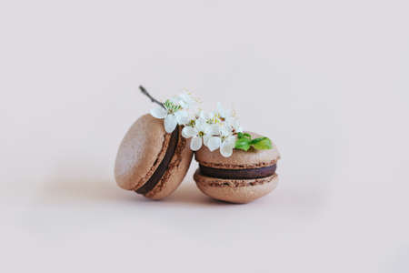 Tasty French macarons with spring blossom on a pastel background. Place for text.の写真素材