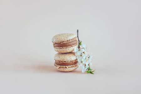 Tasty French macarons with spring blossom on a pastel background. Place for text.