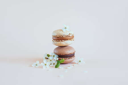 Tasty French macarons with spring blossom on a pastel background. Place for text.の写真素材