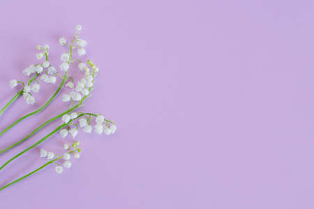 Beautiful lilies of the valley flowers on a pastel violet background. Flat lay. Place for text.の写真素材