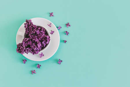 White cup with blossoming lilac on a turquoise pastel background. Flat lay. Place for text.の写真素材