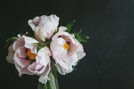 Romantic bouquet of a light pink peonies in a vase on a dark background. Place for text.の写真素材