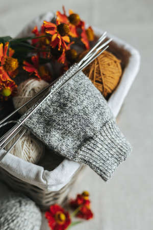 Hand knitting sock with needles and yarn balls on a dark wooden background. Concept for handmade and hygge slow life.の写真素材