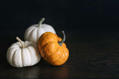 Ripe pumpkins on a dark wooden background. Minimalistic concept for Thanksgiving card or background. Place for text.の写真素材