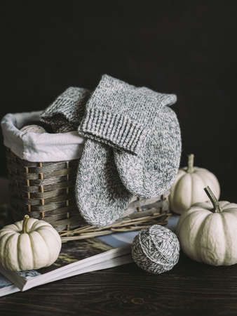 Hand knitting socks with needles, yarn balls and pumpkins on a dark wooden background. Concept for...