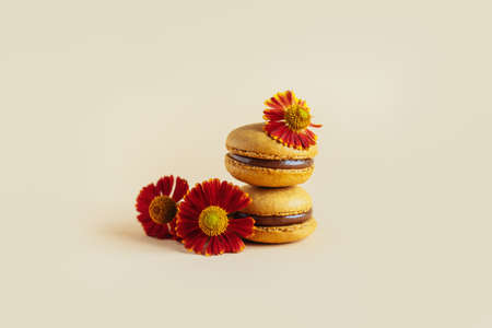 Tasty french macarons with flowers on a yellow pastel background. Place for text.の写真素材