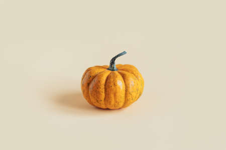 Ripe orange pumpkin on a yellow pastel background. Minimalistic concept for Thanksgiving card or background. Place for text.の写真素材
