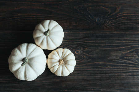 Ripe pumpkins on a dark wooden background. Minimalistic concept for Thanksgiving card or background. Place for text.の写真素材