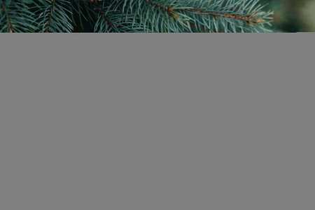 Fluffy branches of a fir-tree. Christmas wallpaper or postcard concept. Selective focus.の写真素材