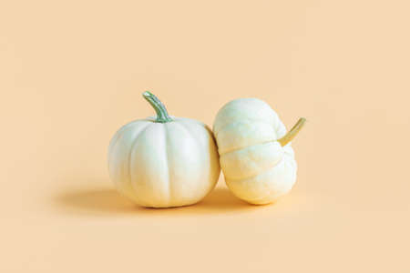 Ripe pumpkins on a yellow pastel background. Minimalistic concept for Thanksgiving card or background. Place for text.の写真素材