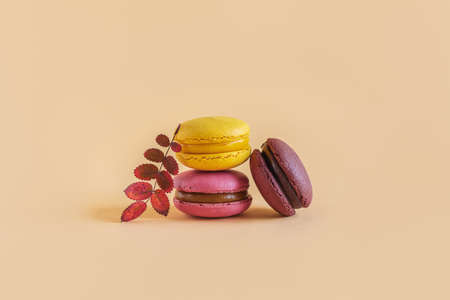Tasty french macarons on a yellow pastel background. Place for text.の写真素材