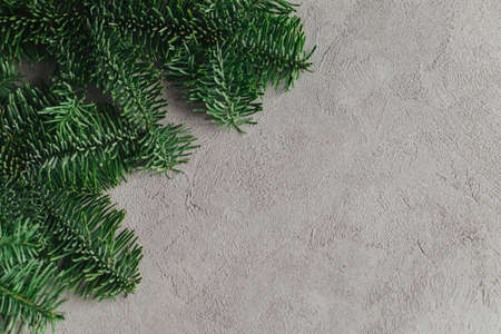 Spruce branches on a gray background. Holiday eco-friendly concept. Flat lay. Place for text.