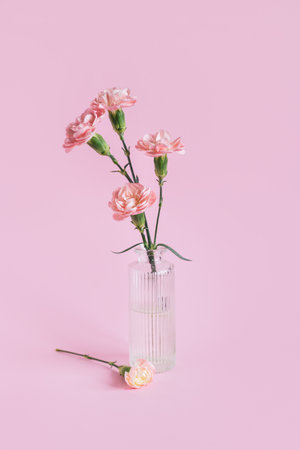 Tender carnation flowers in a glass vase on pastel pink background. Place for text.の写真素材