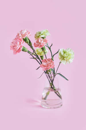 Tender carnation flowers in a glass vase on pastel pink background. Place for text.の写真素材