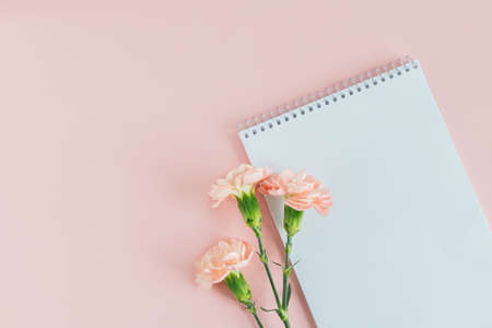 Notebook with blank page and pencil on a pink pastel background. flat lay. Place for text.の写真素材