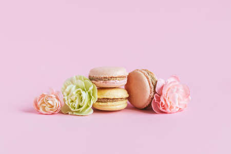 Tasty french macaroons with tender flower on a pink pastel background. Place for text.の写真素材