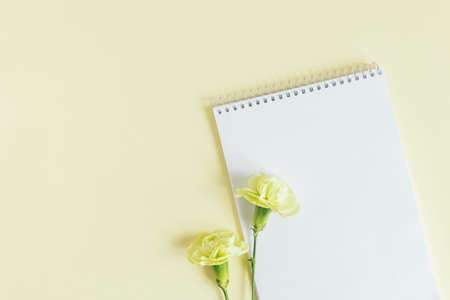 Notebook with blank page and Carnation flower on a yellow pastel background. flat lay. Place for text.の写真素材