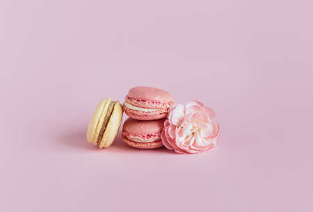 Tasty french macaroons with flowers on a pink pastel background. Place for text.の写真素材