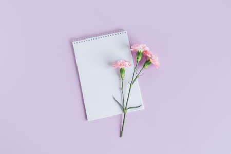Notebook with blank page and Carnation flower on a violet pastel background. flat lay. Place for...