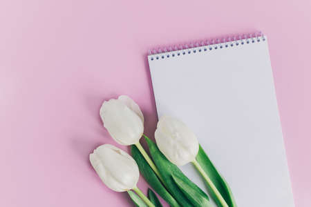 Beautiful white tulips and notebook with blank page on pink pastel background. flat lay. Place for text.の写真素材