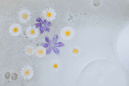 Beautiful Periwinkle and Daisy flowers on a bubble background. flat lay.の写真素材