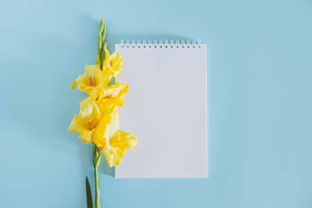 Beautiful yellow Gladiolus flower and a notebook with blank page on a blue background. Place for text.の写真素材