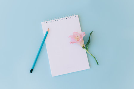 Notebook with blank page, pink flower and pencil on light blue background. flat lay. Place for text.の写真素材