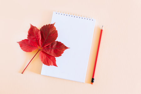 Notebook with blank page, red leaf and pencil on light orange background. flat lay. Place for text.の写真素材