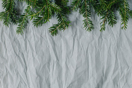 Fresh spruce branches on a gray craft paper background. flat lay. Place for text.