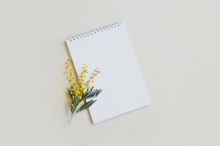 Notebook with blank page and mimosa flower on a light yellow background. flat lay. Place for text.の写真素材