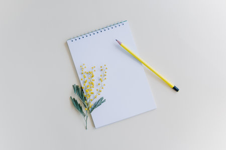 Notebook with blank page, mimosa flower and pencil on light yellow background. flat lay. Place for text.の写真素材