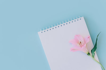Notebook with blank page and pink flower on light blue background. flat lay. Place for text.の写真素材