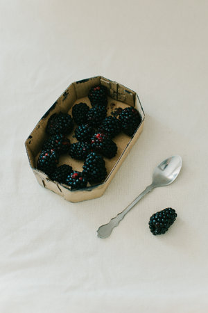 Box with blackberries and a spoon on a light rustic background. Place for text.の写真素材