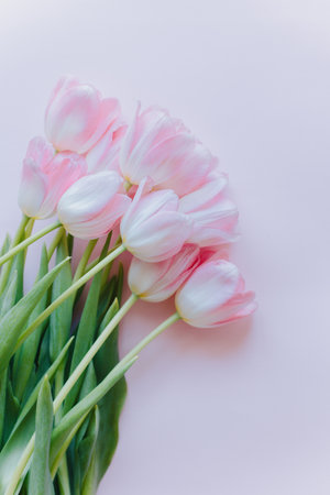 Beautiful bouquet of pink pastel tulip flowers. Close-up. Place for text.の写真素材
