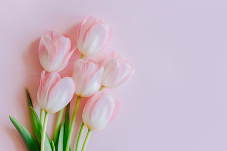 Beautiful bouquet of pink pastel tulip flowers on a pink background. Place for text.の写真素材