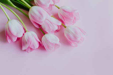 Beautiful bouquet of pink pastel tulip flowers. Place for text.の写真素材