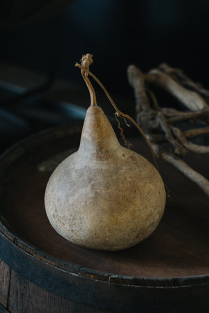 Dry pumpkin and branches on an old barrel. Vintage background.の写真素材
