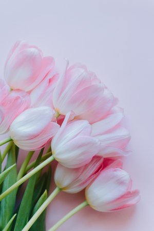 Beautiful bouquet of pink pastel tulip flowers. Place for text.の写真素材