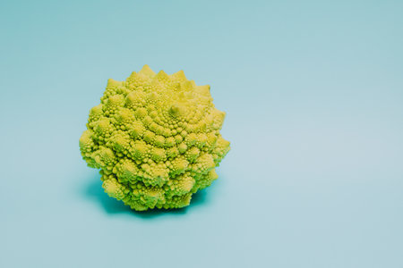 Fresh Romanesque cabbage on a blue pastel background. Minimal concept.