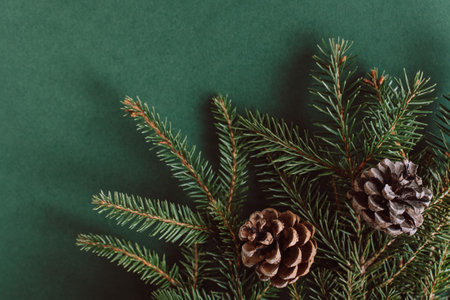 Spruce branches with cones on a dark green background. Flat lay. Place for text.の写真素材