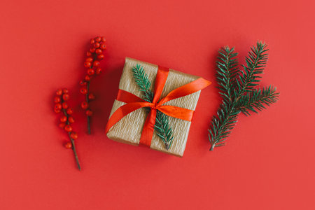 Gift box with spruce branches and red berries on a red background. Holiday concept. Place for text.の写真素材