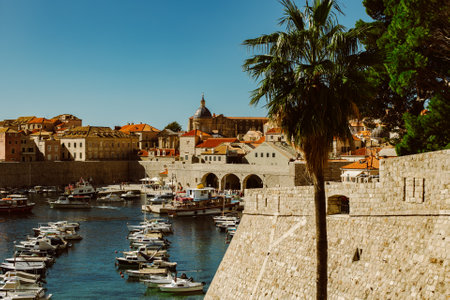 Amazing view of Dubrovnik old city and the boats in a marina on a sunny day. Travel destination in Croatia.の写真素材