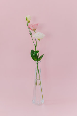 Beautiful white and pink Eustoma (Lisianthus) flowers in a vase on a pink pastel background. Place for text.の写真素材