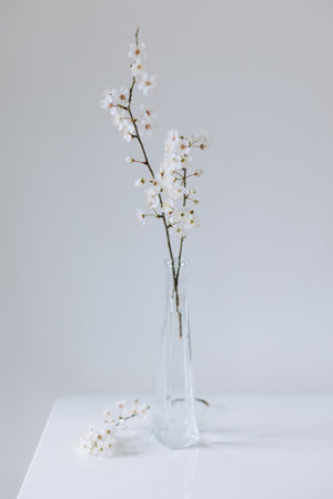 Beautiful blossom branches in a vase on a gray background. Spring minimalistic concept. Place for text.の写真素材