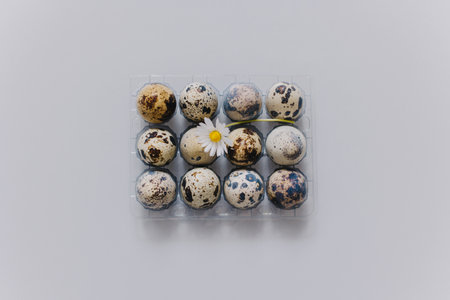 Eggs with daisy flower in a box on a gray background. Easter minimal concept. Place for text.の写真素材