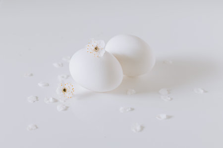 Beautiful white blossom and eggs on a white background. Minimal concept. Place for text.の写真素材