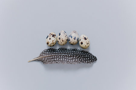 Eggs with feather on a gray background. Easter minimal concept. Place for text.の写真素材