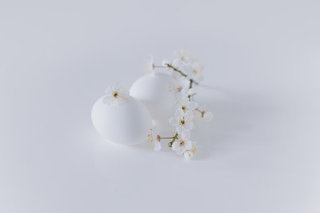 Beautiful branch with white blossom and eggs on a white background. Minimal concept. Place for text.の写真素材